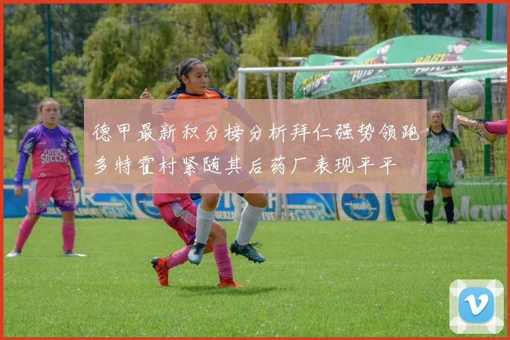 德甲最新积分榜分析拜仁强势领跑多特霍村紧随其后药厂表现平平