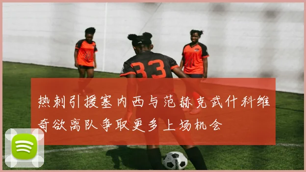 热刺引援塞内西与范赫克武什科维奇欲离队争取更多上场机会